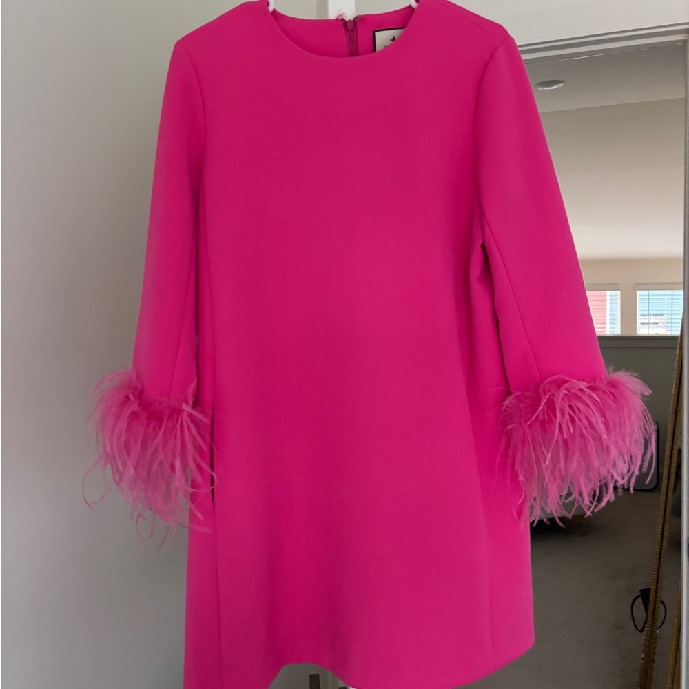 Elegant Pink Feathered Dress